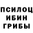 Галлюциногенные грибы Psilocybine cubensis Andrii Barskyi