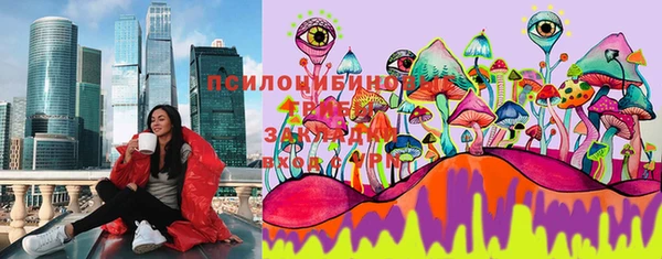 ПСИЛОЦИБИНОВЫЕ ГРИБЫ Балашиха