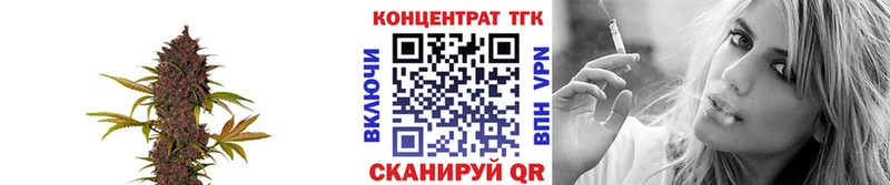 закладки  Домодедово  ТГК жижа 