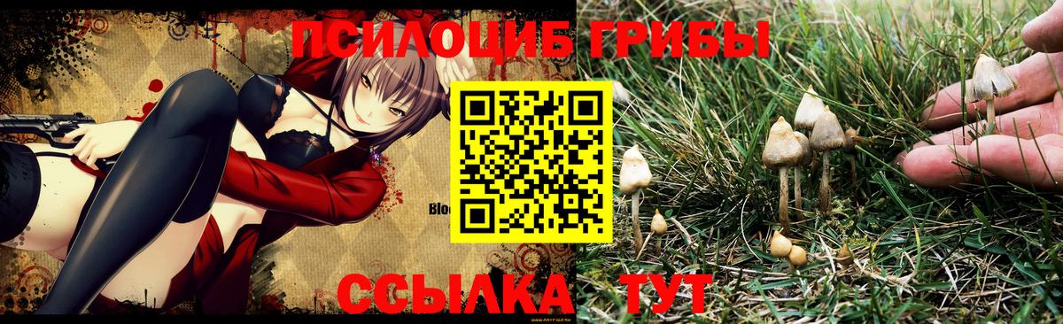 Галлюциногенные грибы ЛСД  где купить   Домодедово 