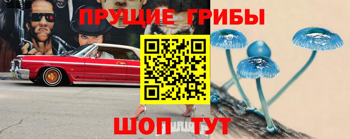 Галлюциногенные грибы прущие грибы Домодедово